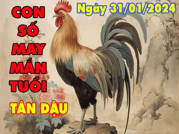 Thống kê con số may mắn tuổi Tân Dậu ngày 31/1/2024