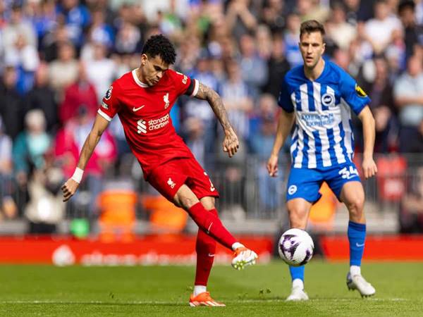 Trận đối đầu kịch tính giữa Liverpool vs Brighton 